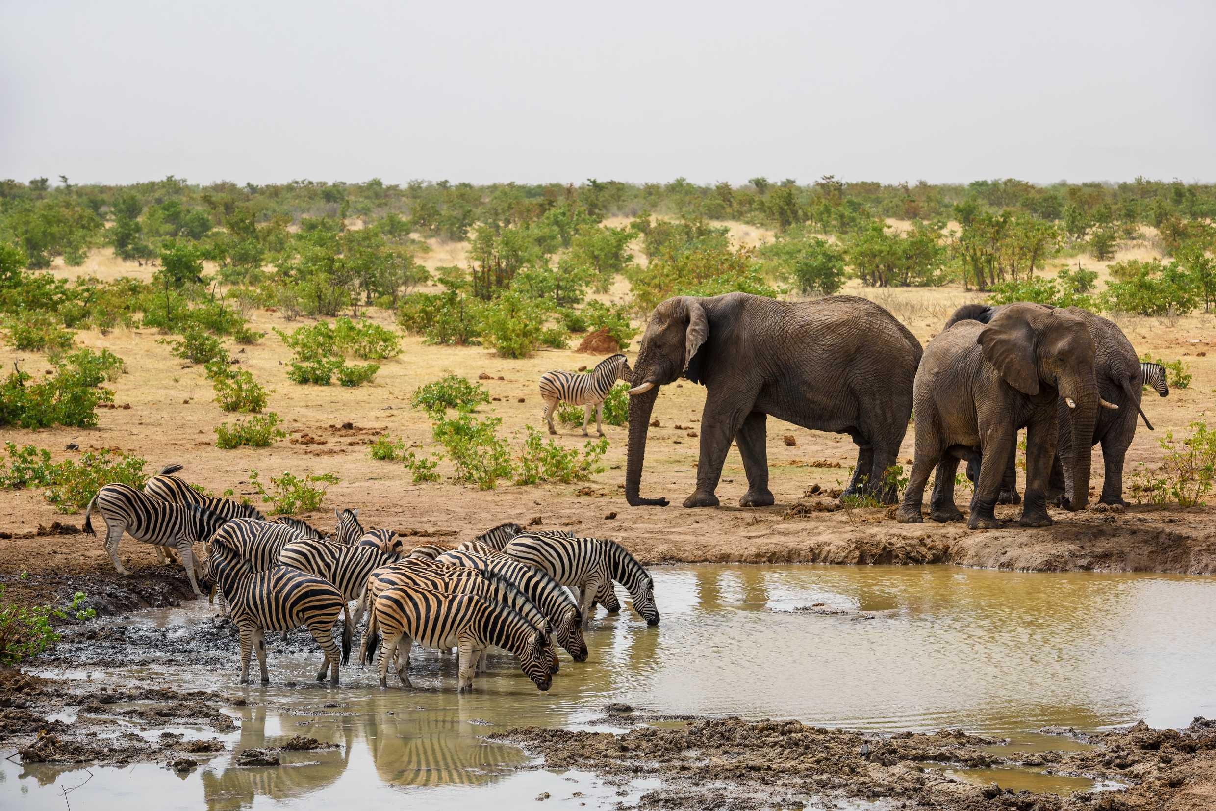 Image for 6-Day Kenya Group Safari Tour & Game Drives
