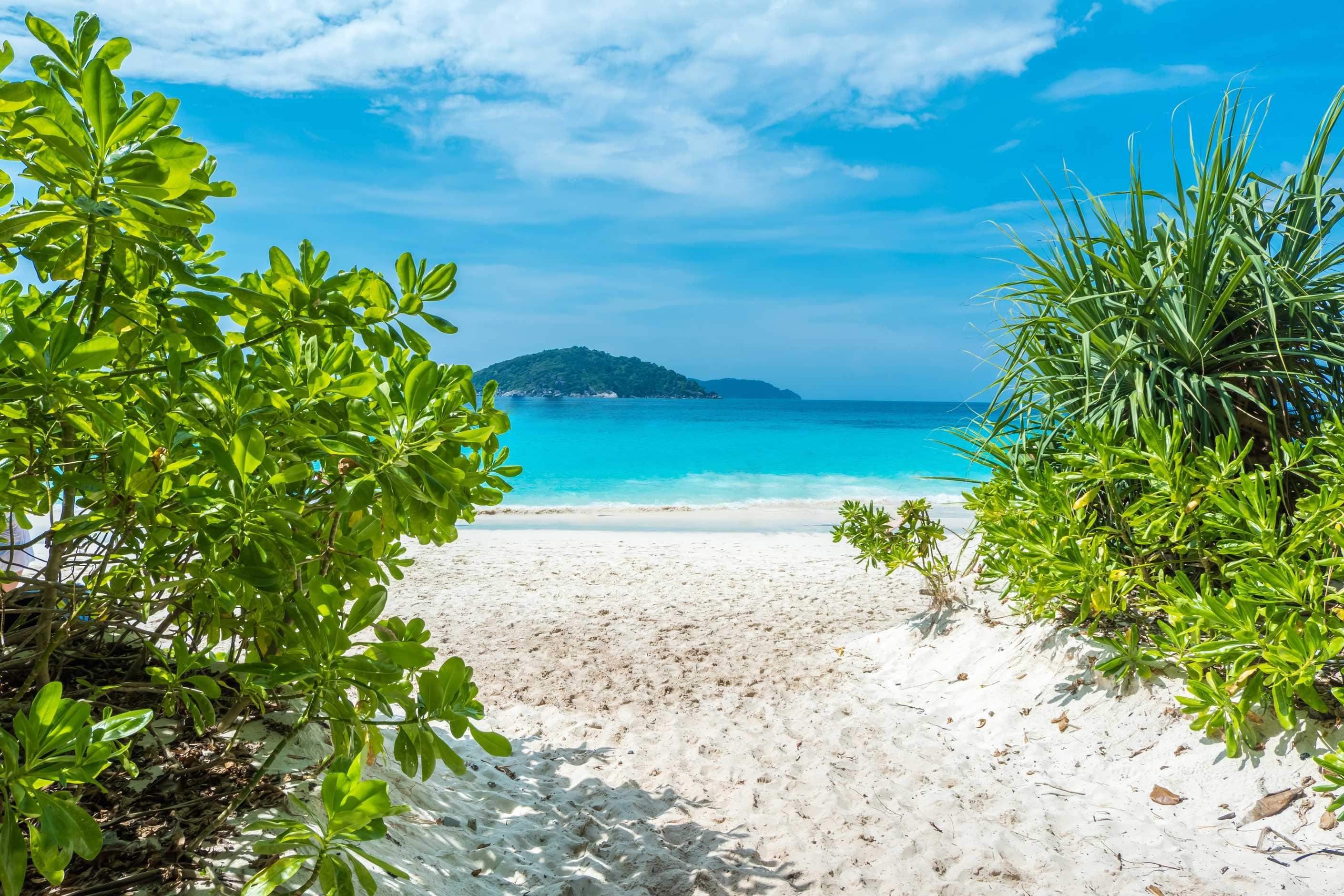Image for Waves of Andaman : A 7 Nights Andaman Package