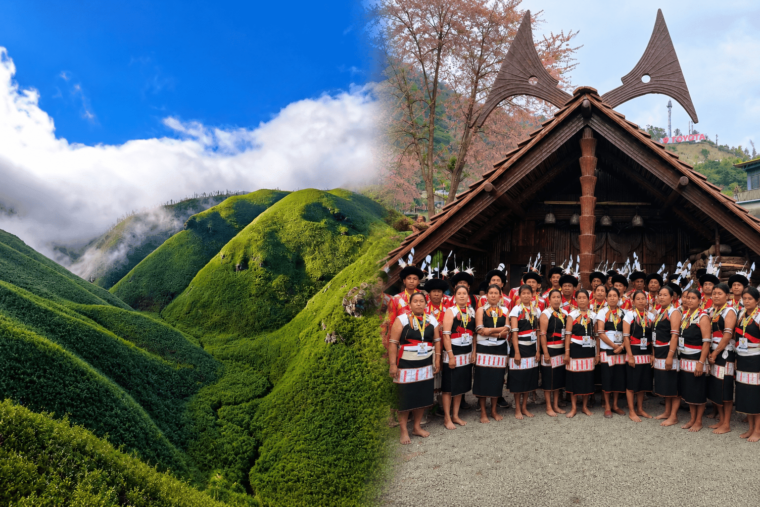Image for Hornbill Festival Tour 2026 Closing Ceremony with Dzukou Valley Trek