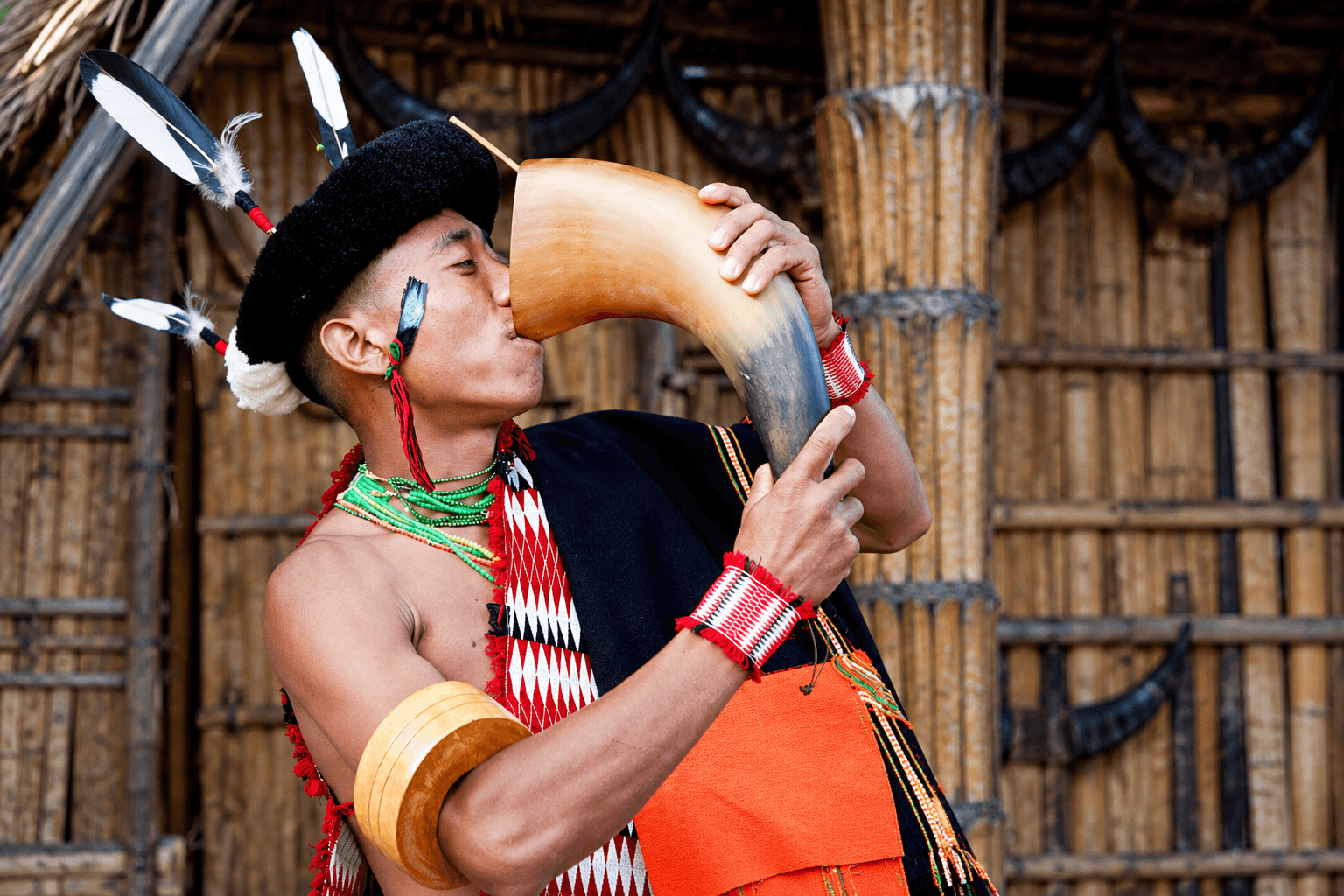 Hornbill Festival Morung & Tribal Food Stalls: A Foodie's Walking Guide