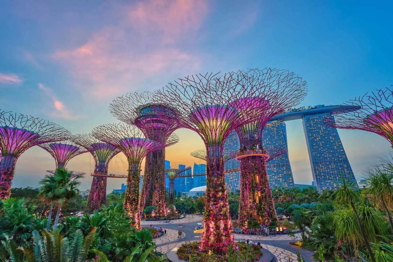 Image for Explore Singapore: Gardens by the Bay to Marina Bay Sands