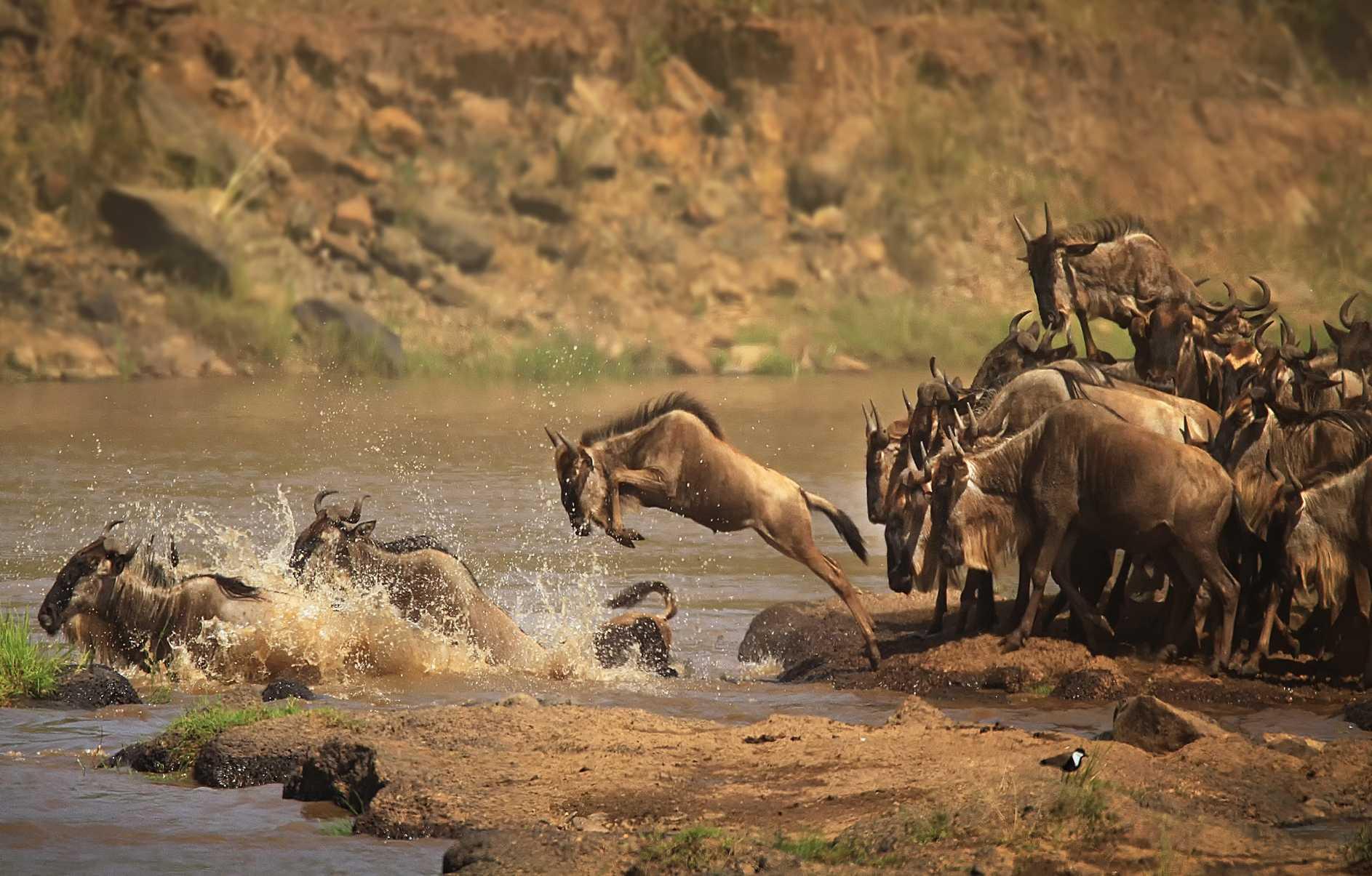 Kenya Tour Package from India: Complete Guide for First-Time Travellers