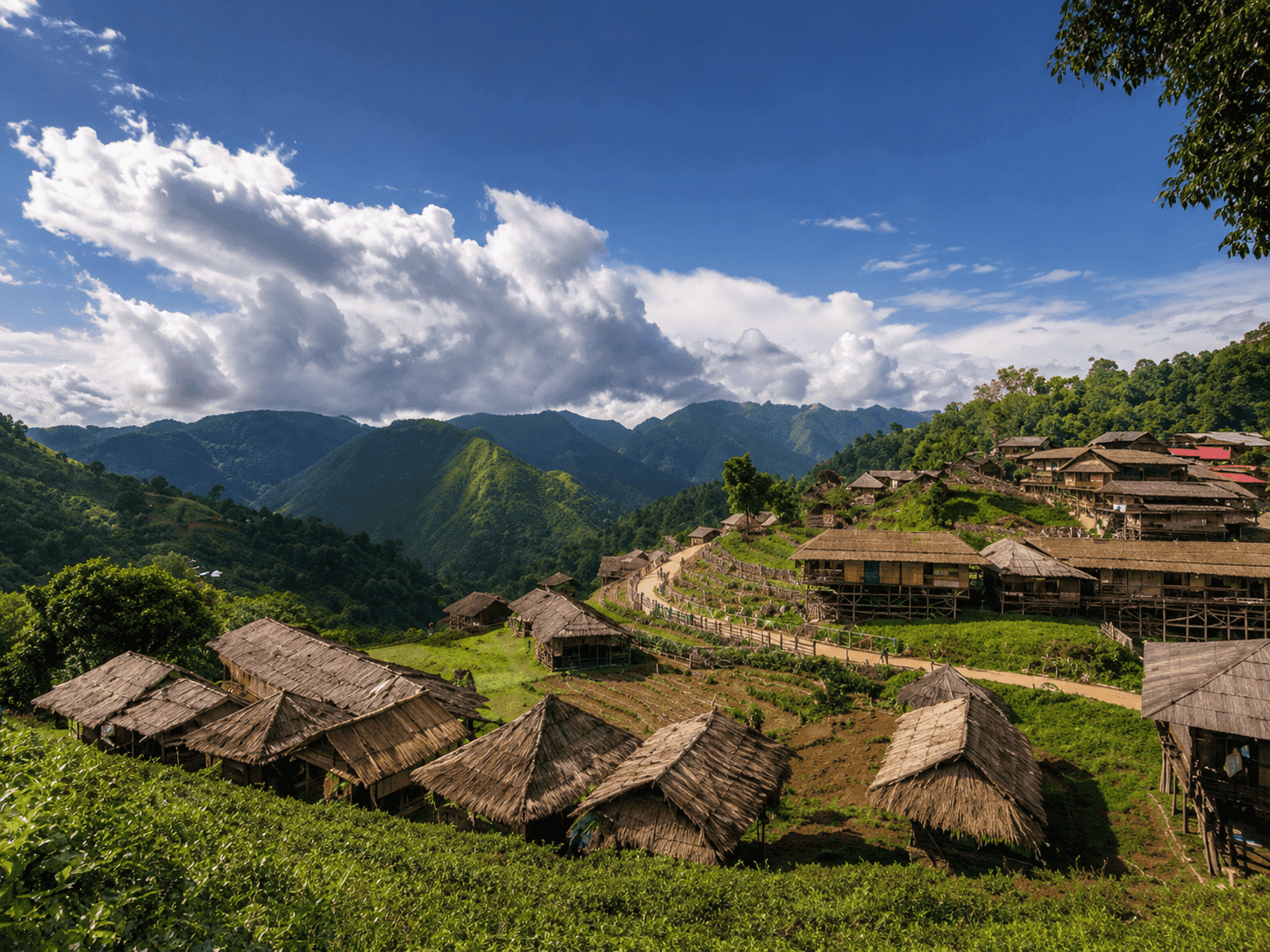 Image for Heritage of Nagaland: Kigwema to Kohima