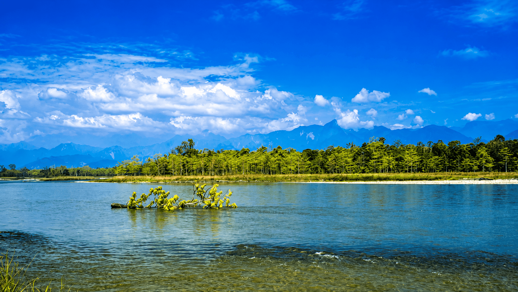 Image for Authentic Arunachal Experience